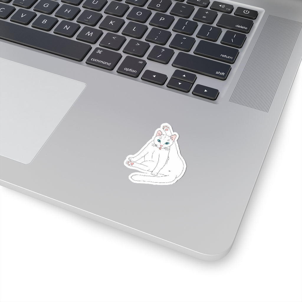 Privacy Please Cat Sticker