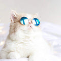 Kitty Hippie Sunglasses